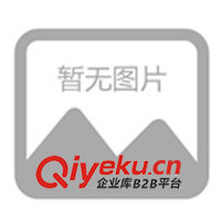 HYUNDAI現(xiàn)代機(jī)械式電飯煲